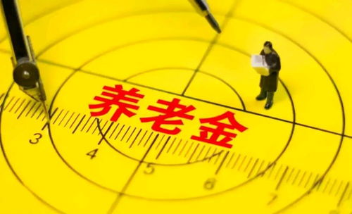 退休后，高级职称在技术咨询中的价值与机遇